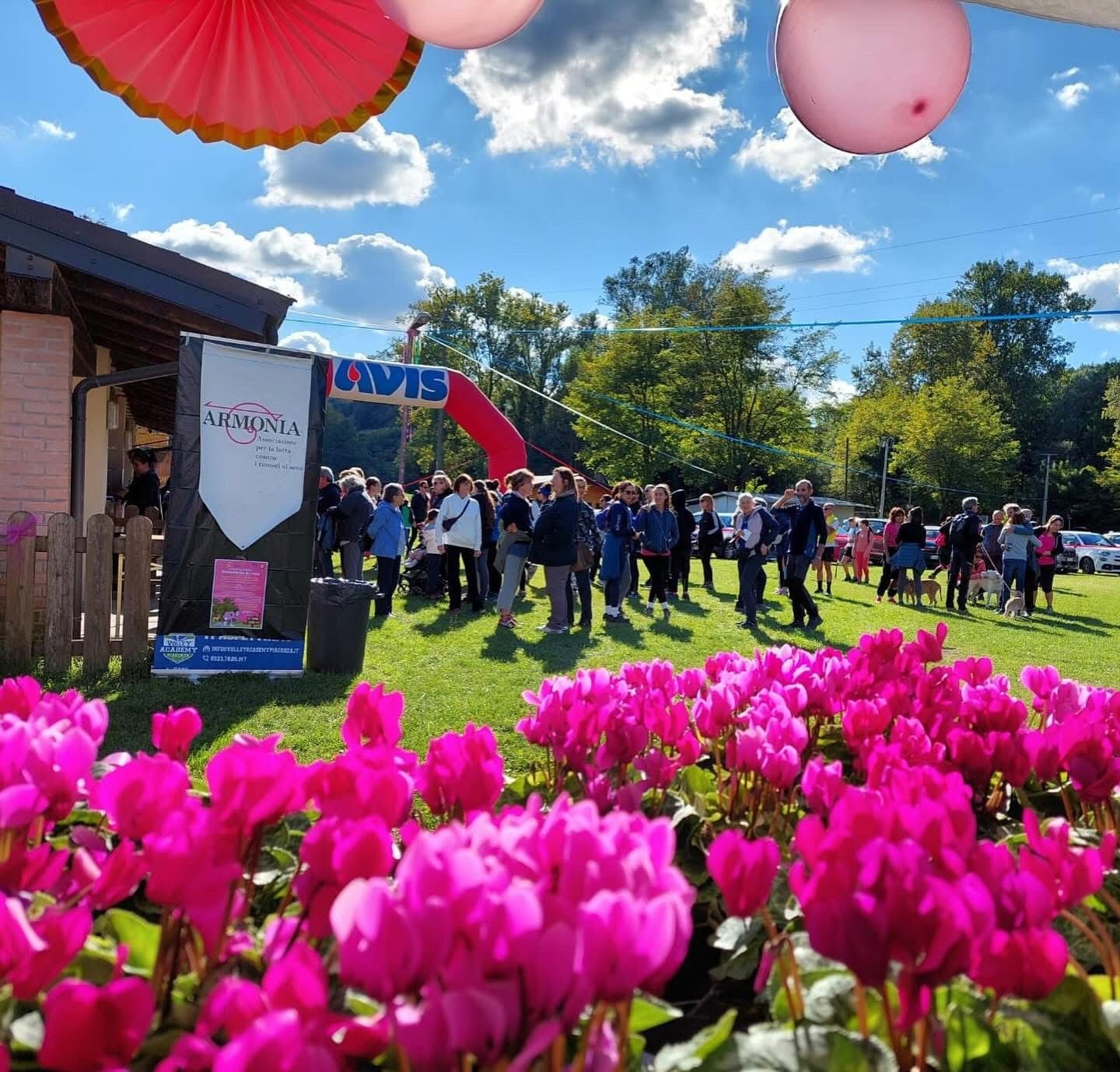 Una foto della scorsa edizione della Camminata in Rosa