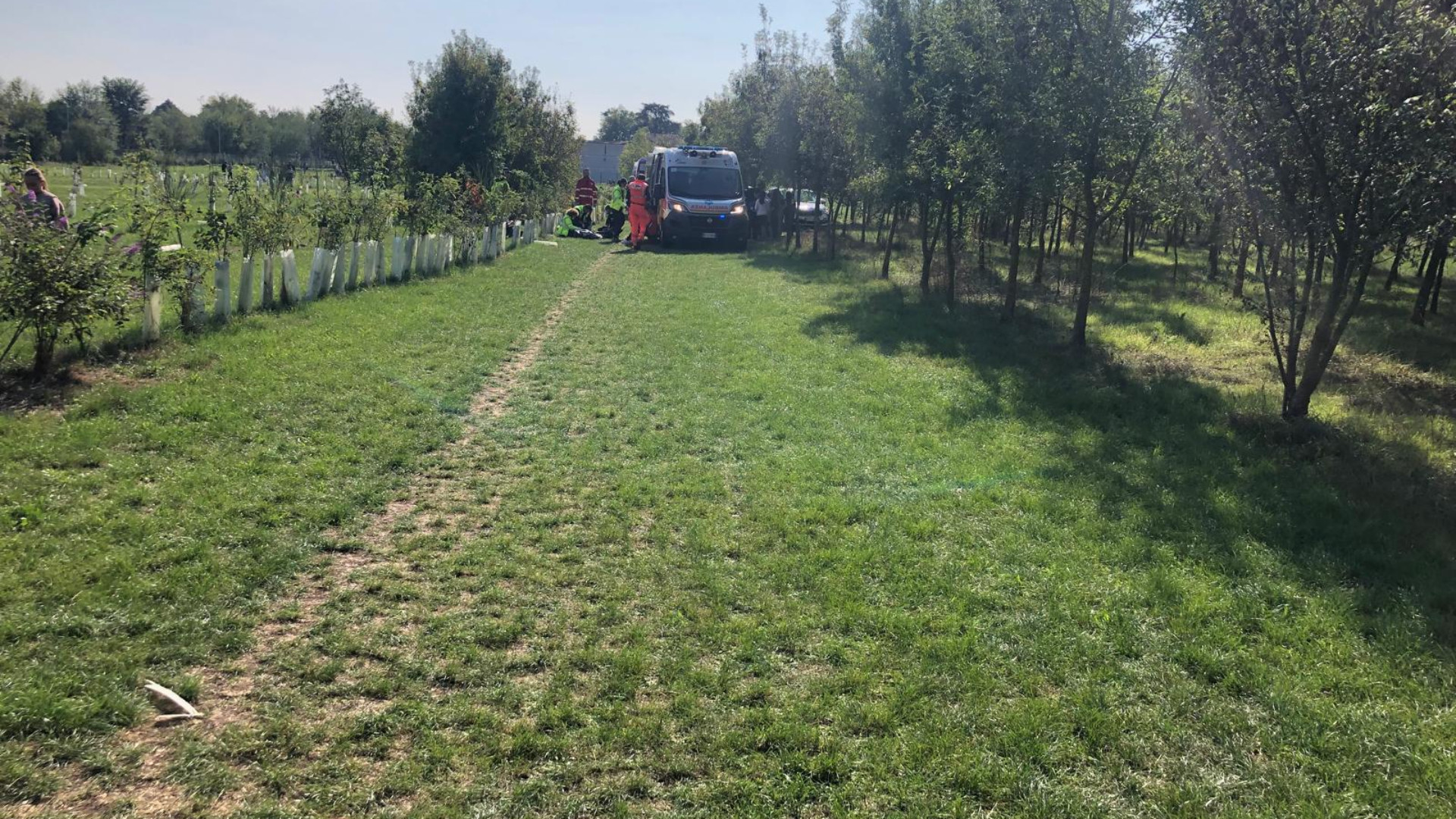 Sciame di vespe attacca un gruppo di bimbi a Montecucco