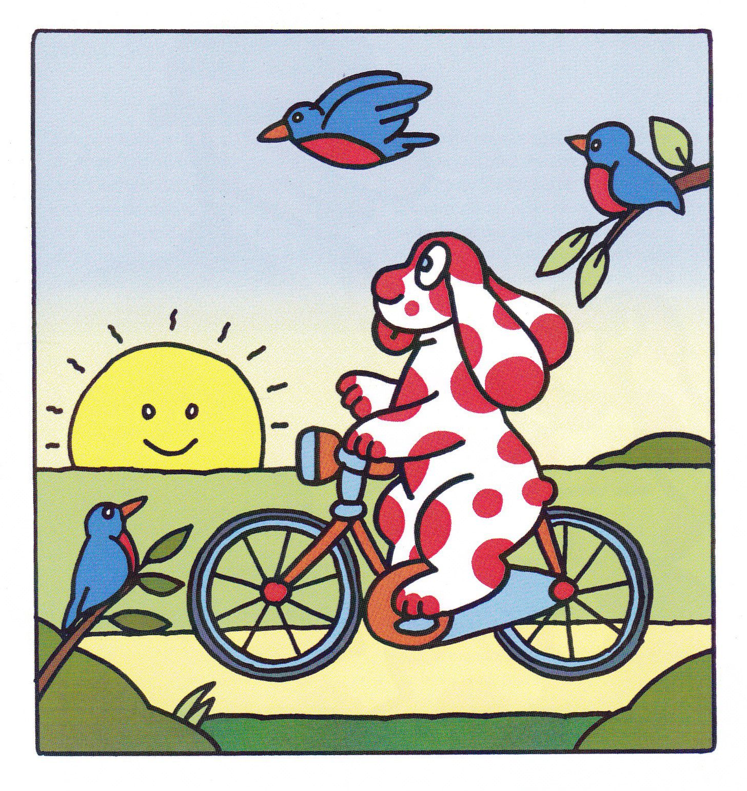 In bicicletta