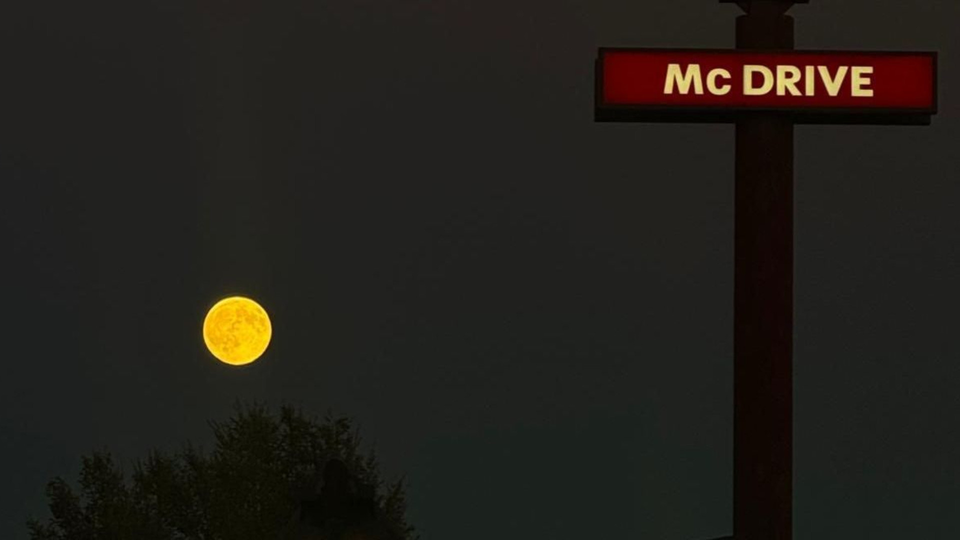 Naso in sù per ammirare la super luna, gli scatti dei lettori