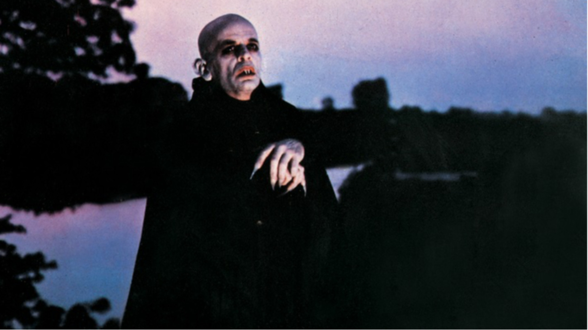 Kinski vampiro triste. Con un solo chiodo fisso: poter invecchiare e morire