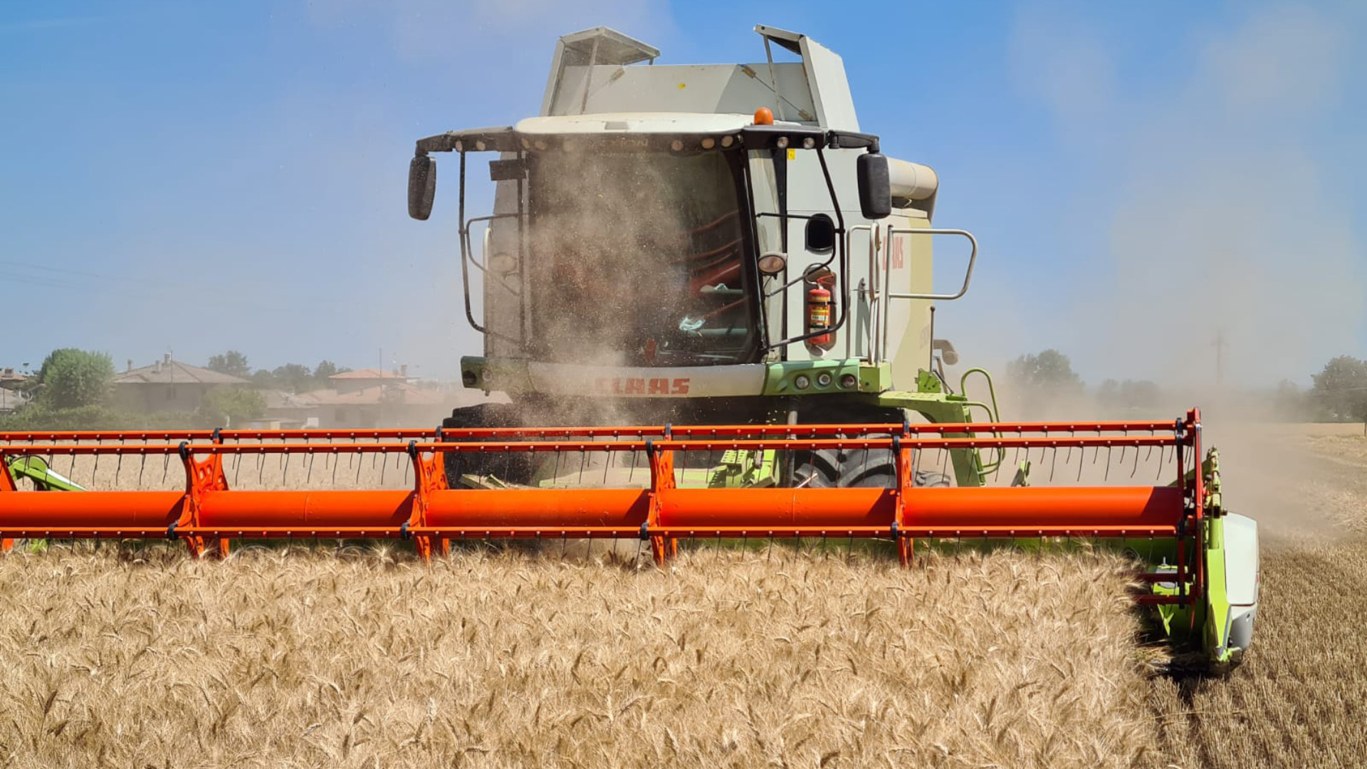 Cerealicoltura, costi insostenibili e vincoli normativi alzano l'allarme