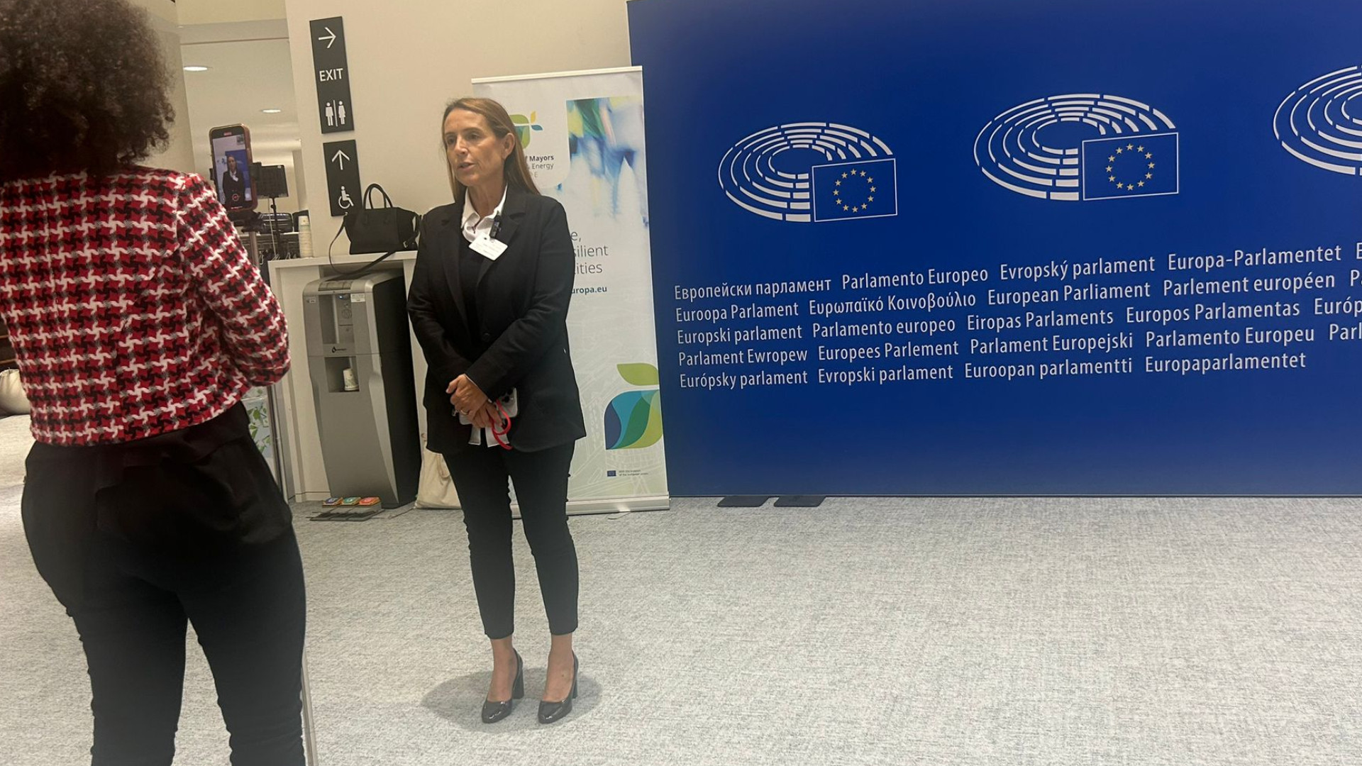 Un futuro di energia pulita, Tarasconi al Parlamento Ue
