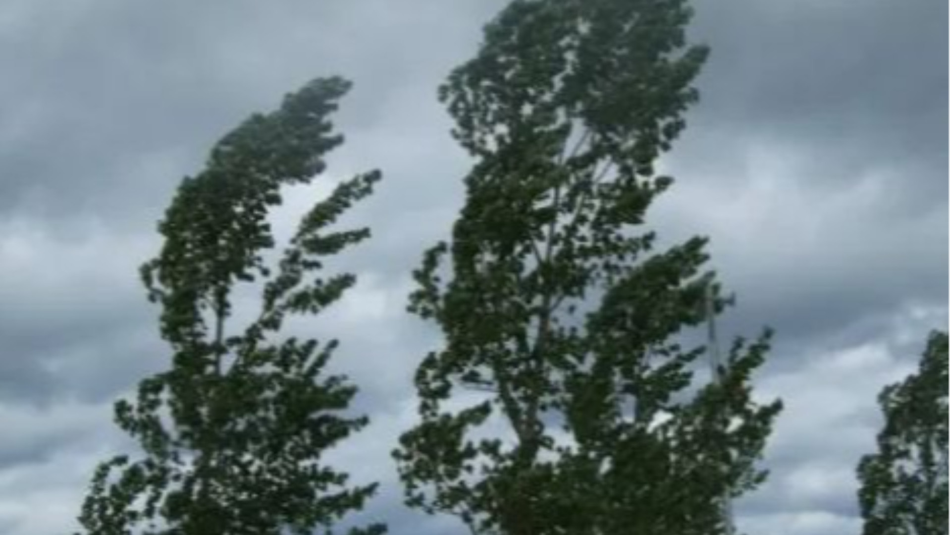 Allerta meteo, in arrivo venti forti soprattutto sui crinali