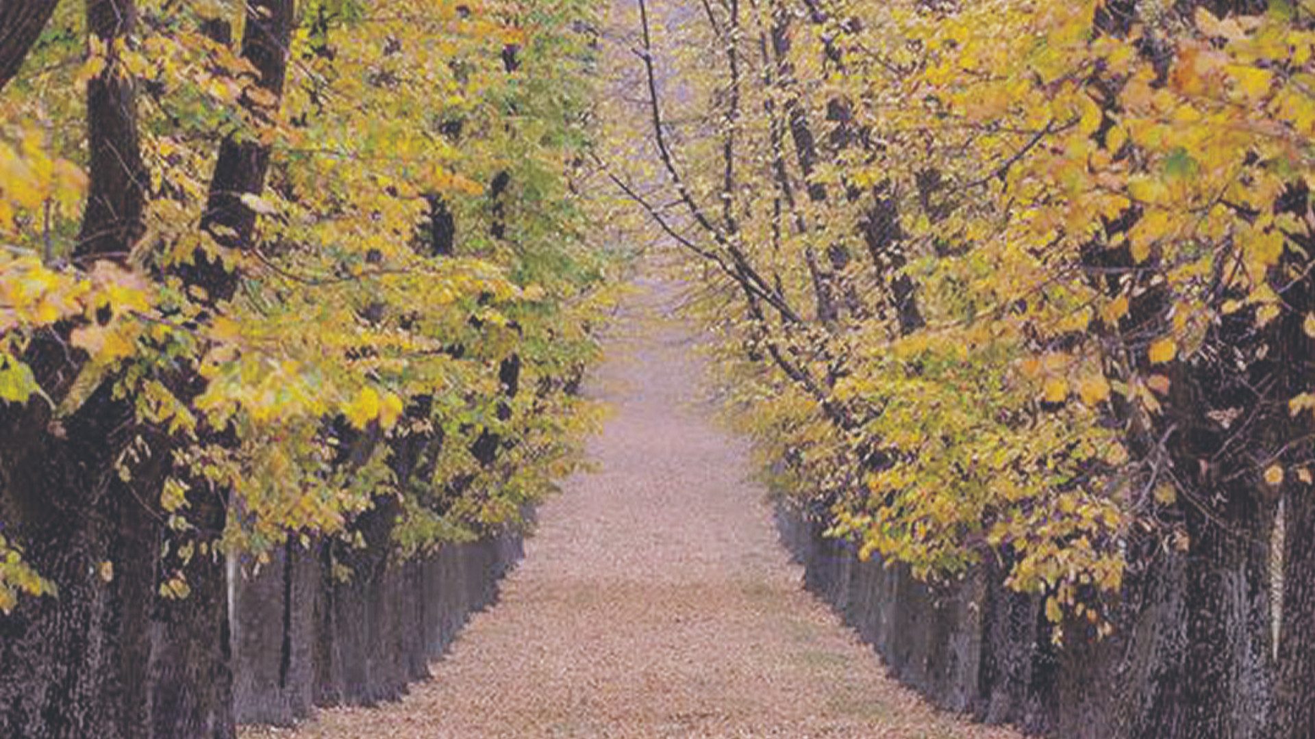 Fotografare il foliage, domenica in Valnure con il Cai di Piacenza