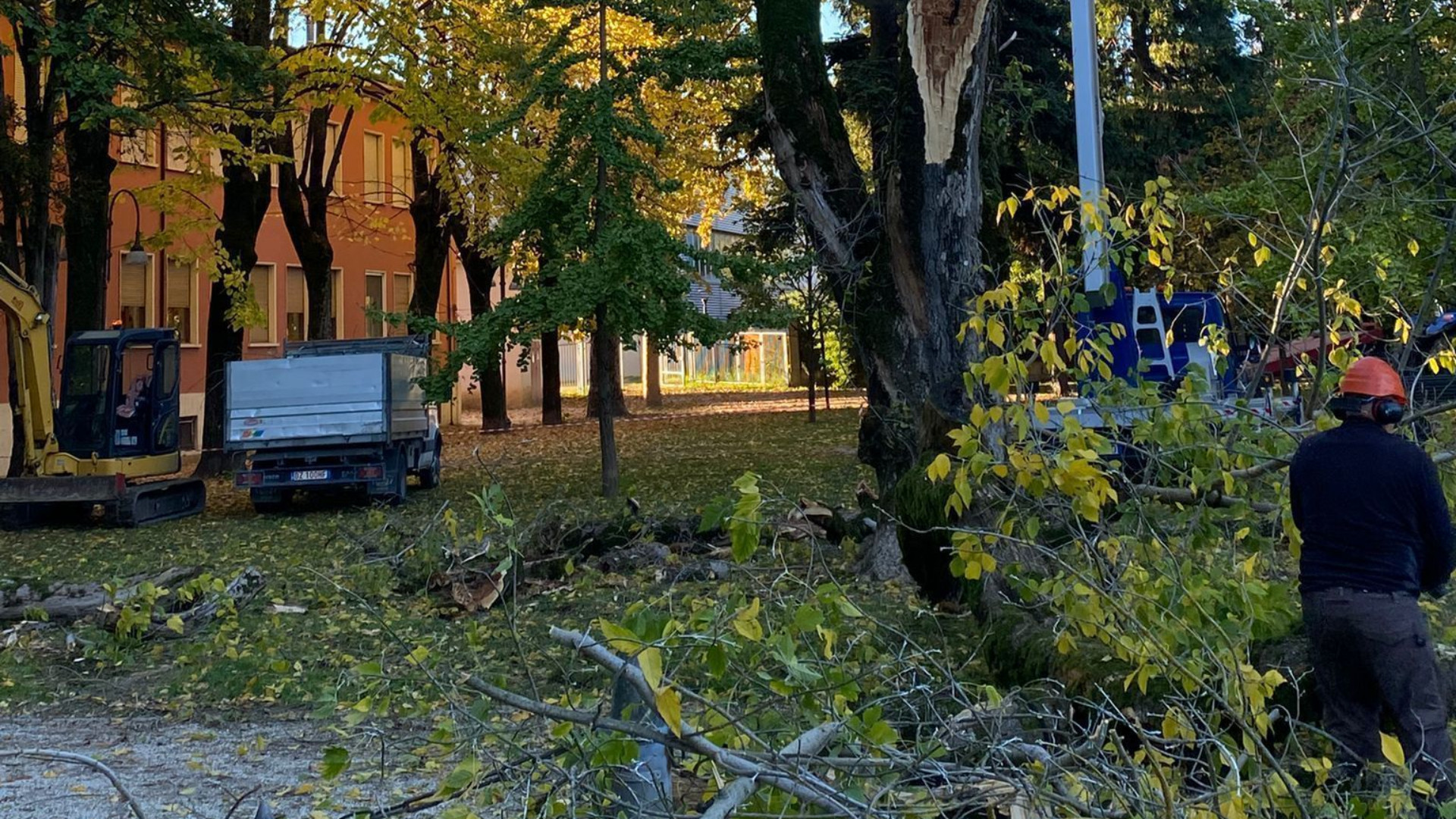 A Cortemaggiore tagli in giardini e viali: «Alberi diventati pericolosi»