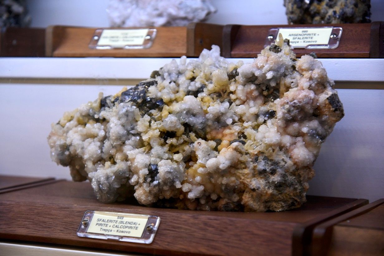 Piccolo Museo di Storia Naturale - FOTO DEL PAPA