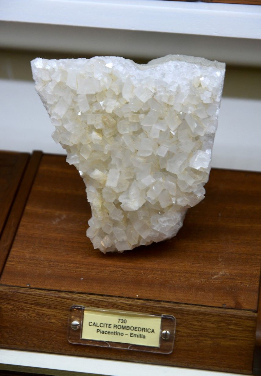 Piccolo Museo di Storia Naturale - FOTO DEL PAPA