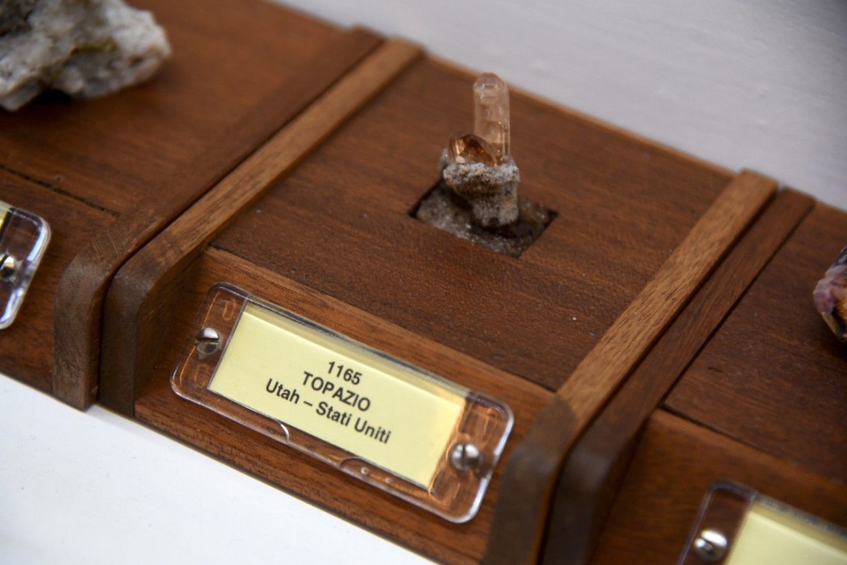 Piccolo Museo di Storia Naturale - FOTO DEL PAPA