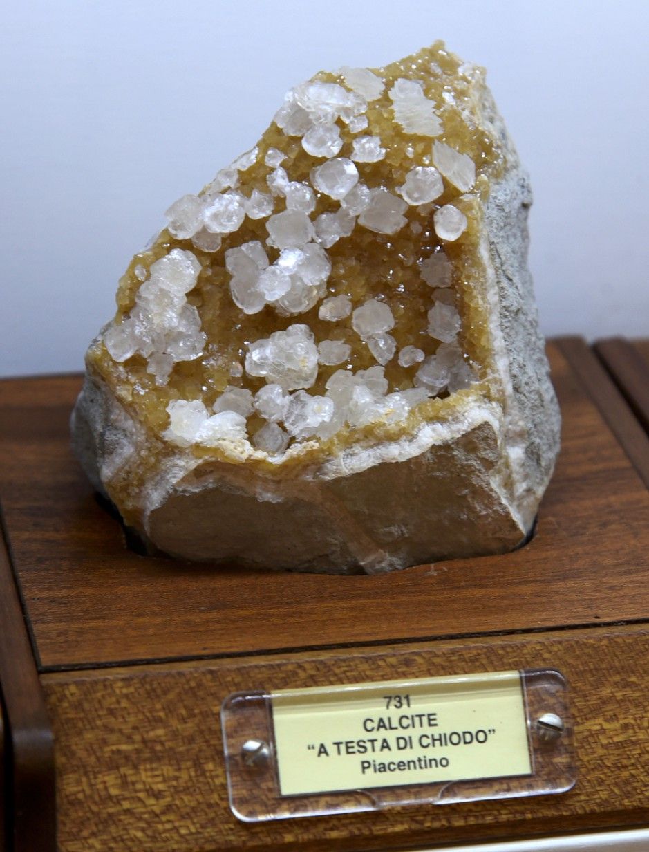 Piccolo Museo di Storia Naturale - FOTO DEL PAPA