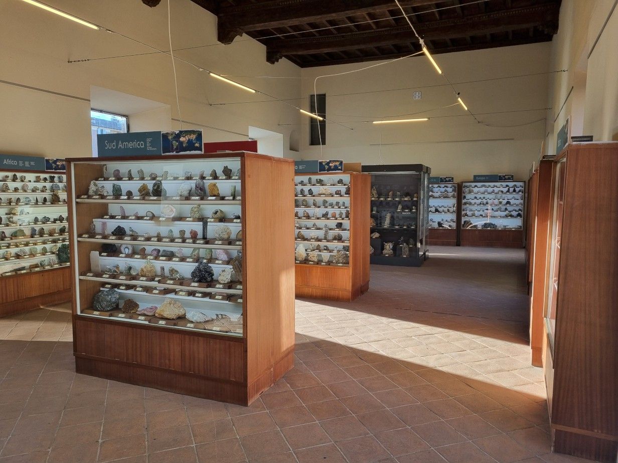 Piccolo Museo di Storia Naturale - FOTO DEL PAPA