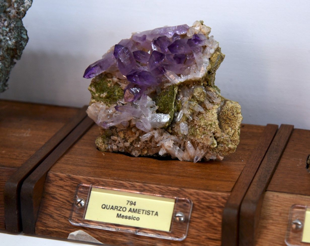 Piccolo Museo di Storia Naturale - FOTO DEL PAPA