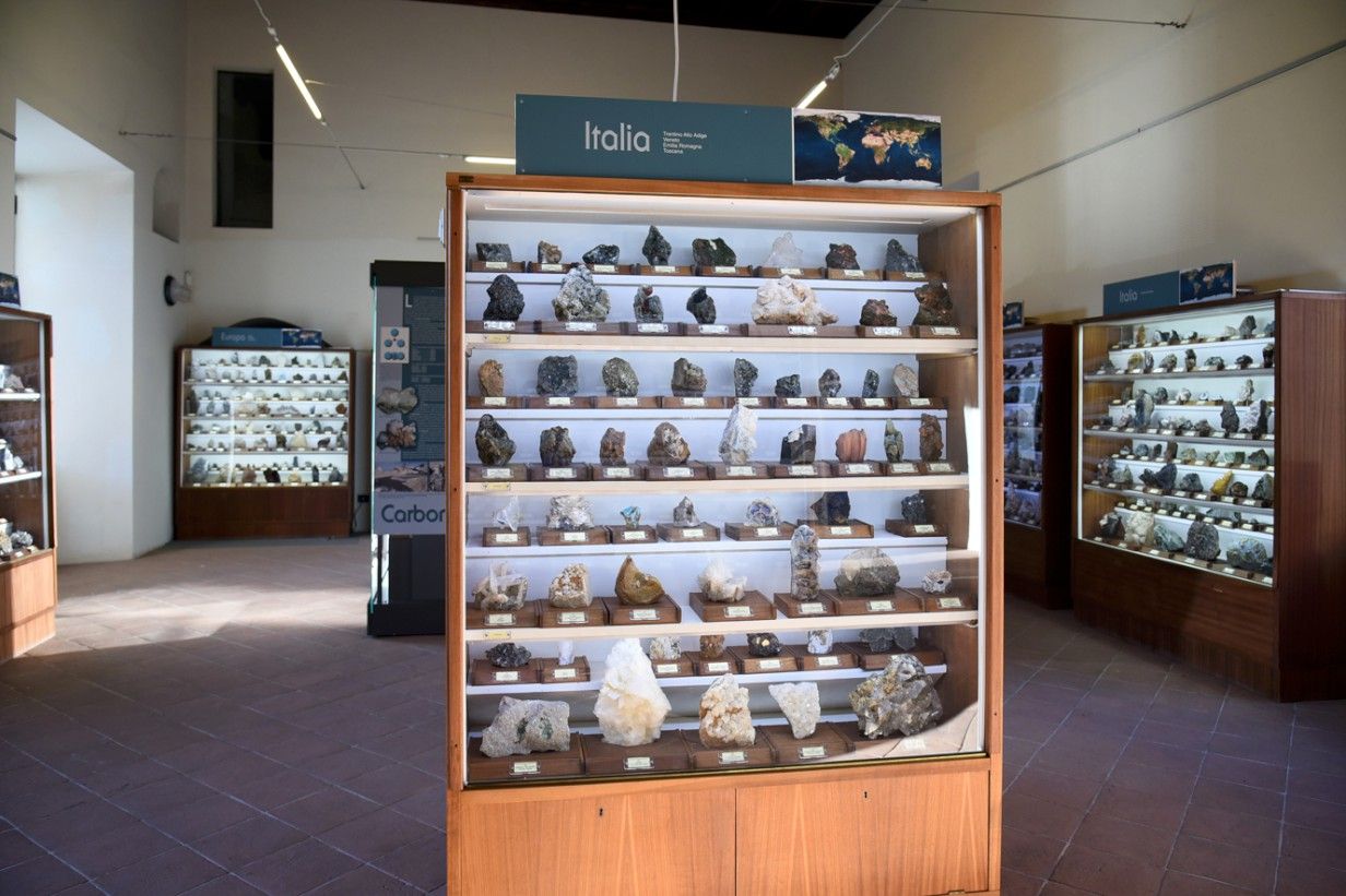 Piccolo Museo di Storia Naturale - FOTO DEL PAPA