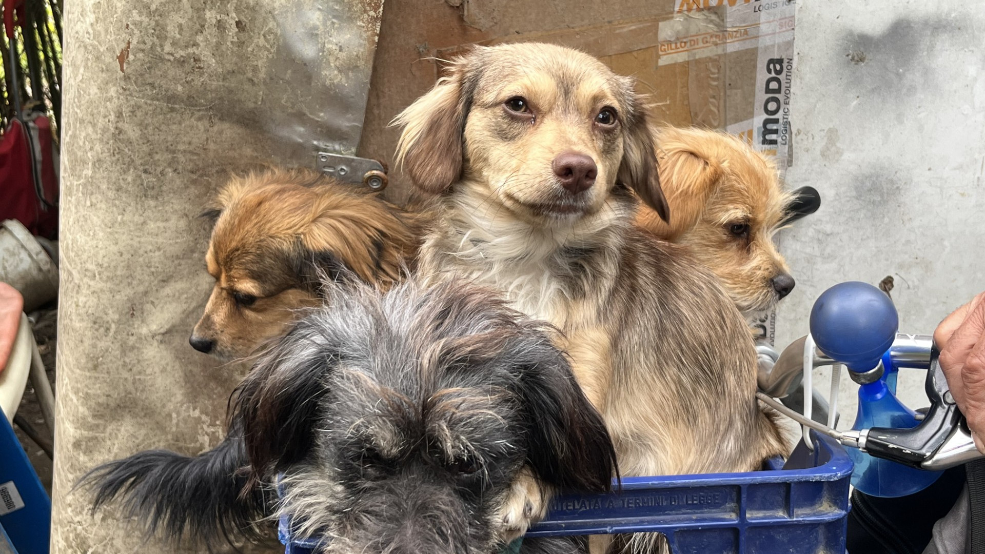 Baracche verso lo sgombero. "Non sappiamo dove andare"