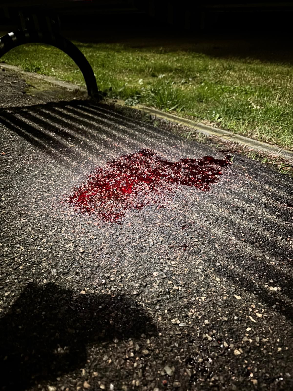 La chiazza di sangue accanto alla panchina dove è avvenuta l'aggressione (foto Duani)