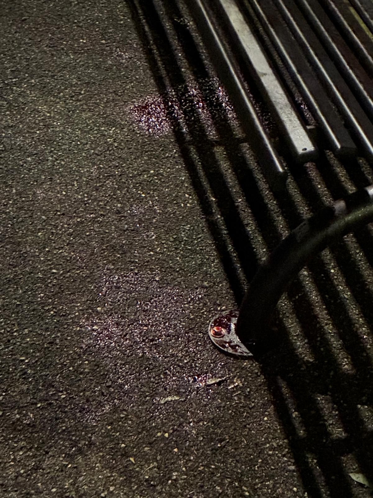 Le tracce di sangue nei pressi della panchina (foto Lamur)