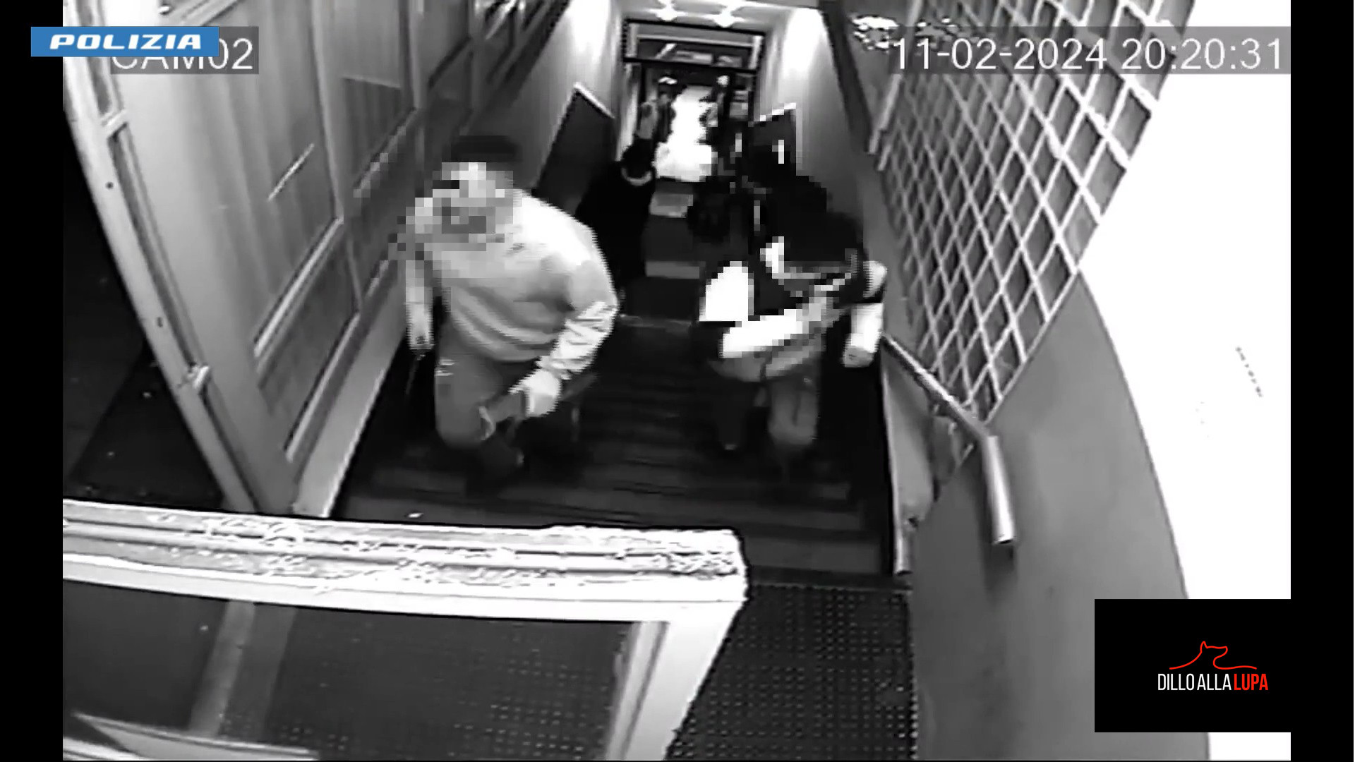 Cronaca e città, su Telelibertà arriva "Dillo alla Lupa"