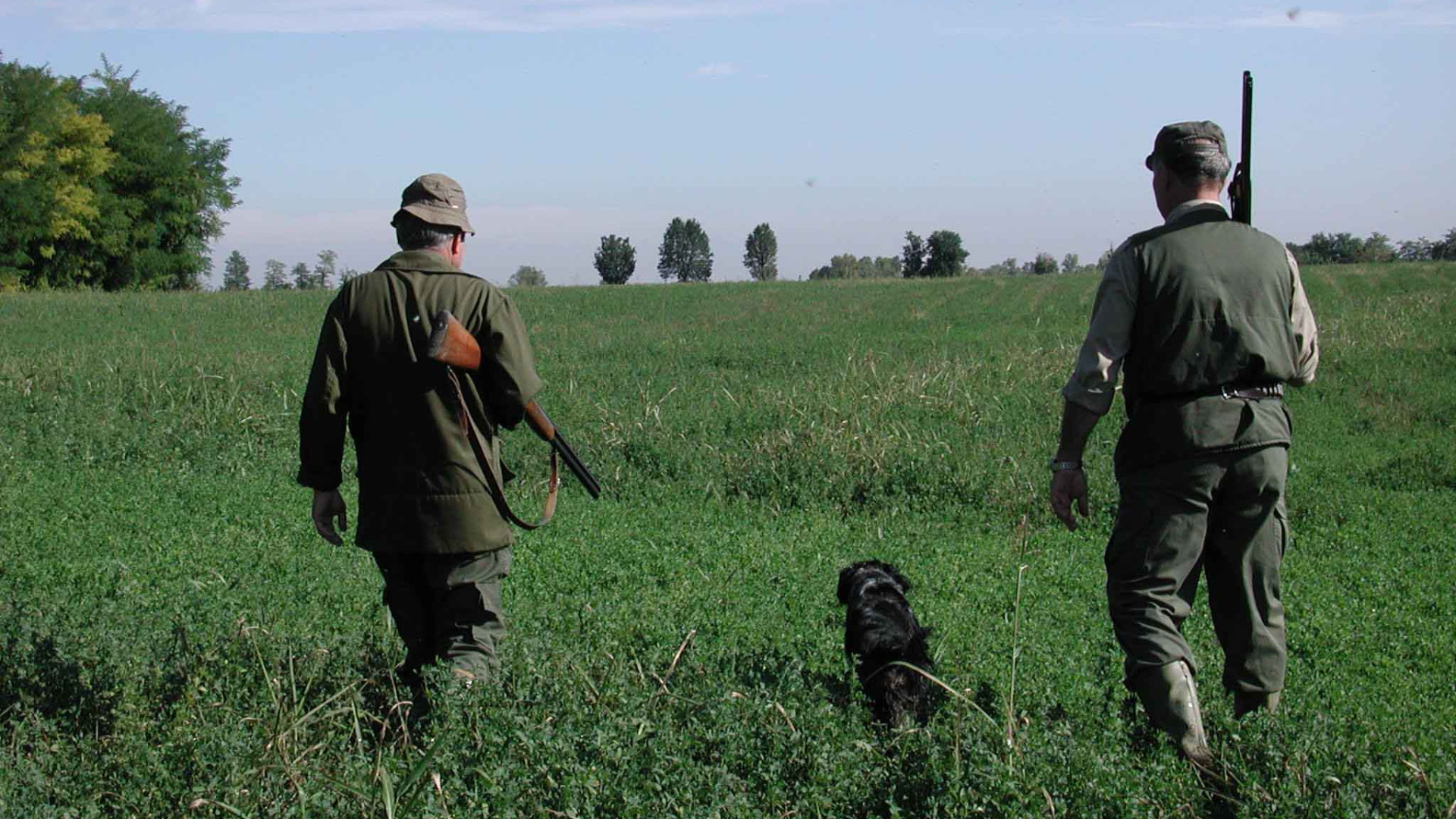 Caccia alla lepre, stop anticipato in nove Comuni