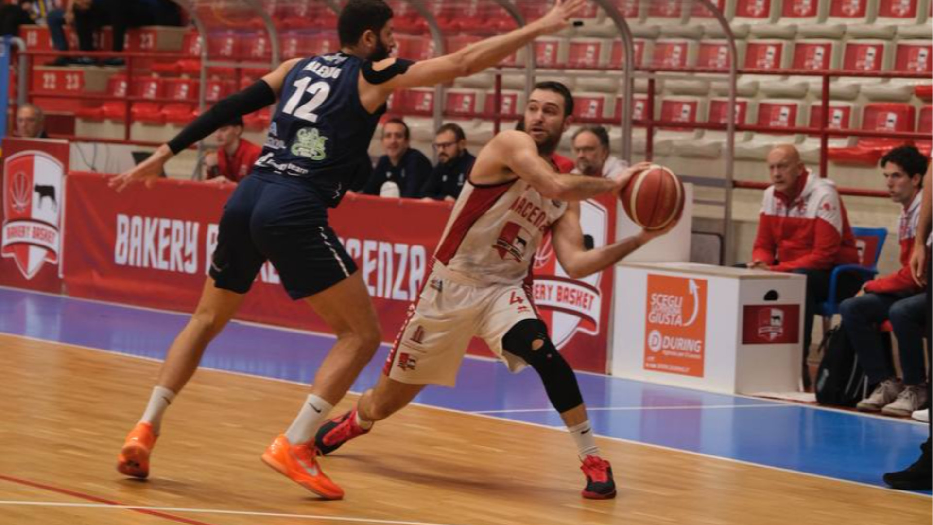 L'Assigeco torna a correre. I Bees brindano all'ultimo contro Lumezzane. La Bakery cade in casa
