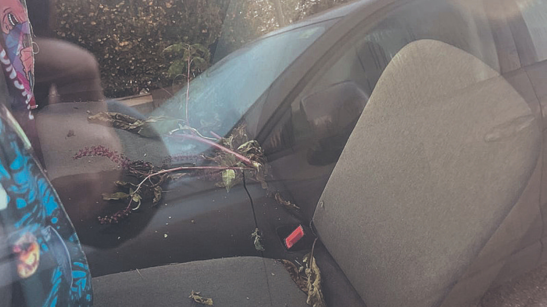 Rubano una Panda per commettere furti. Poi la riportano sotto casa, devastata