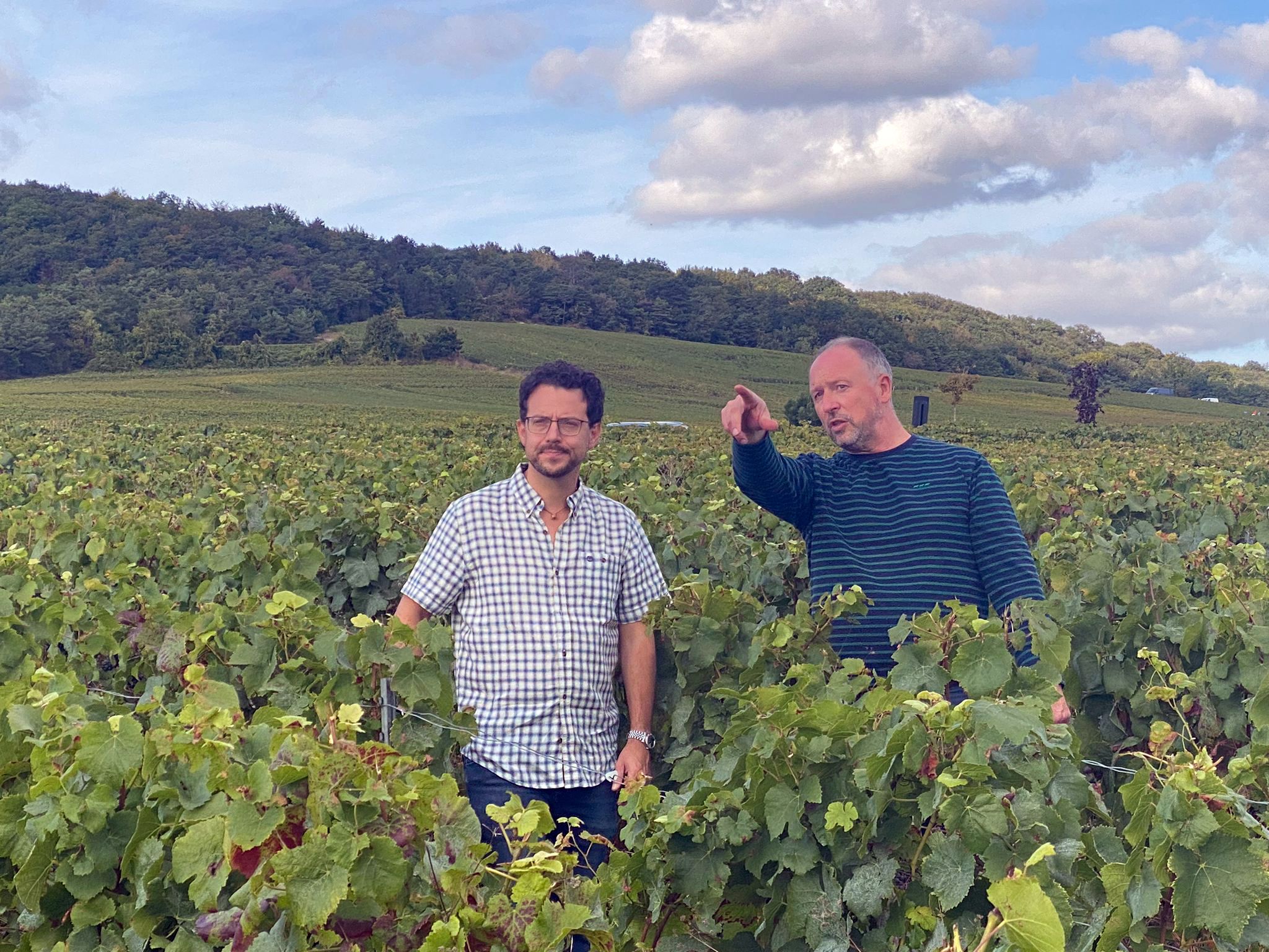 Maison Perondè champagne piacenza alessandro perini