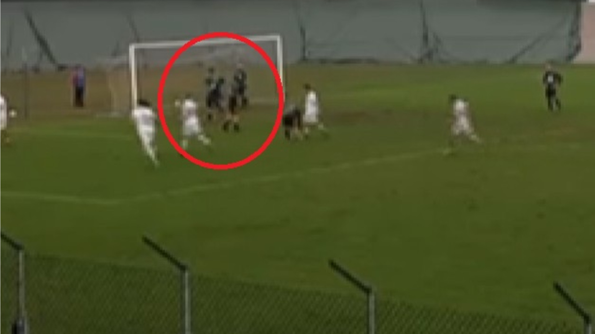 Ansaldi e Cloralio fuori rosa, in arrivo dure squalifiche