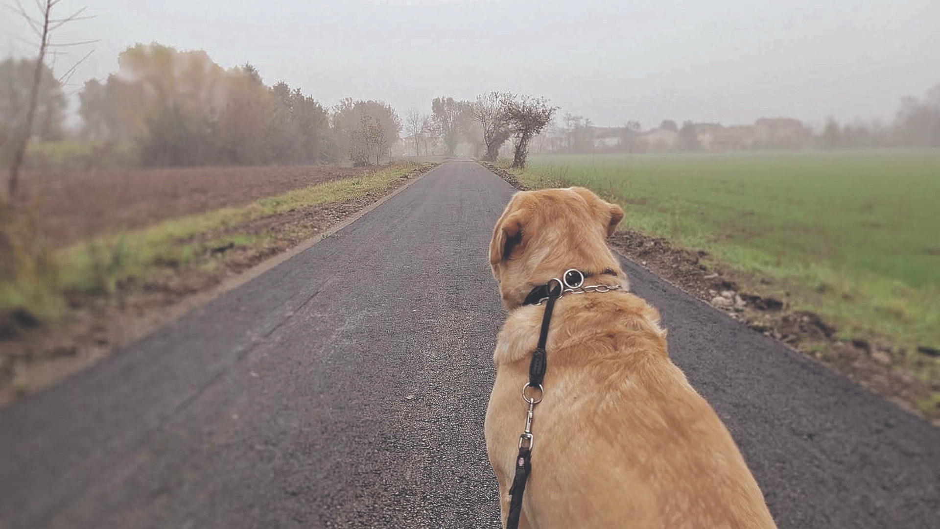 Da Podenzano a Villò, al traguardo la pista per pedoni e ciclisti