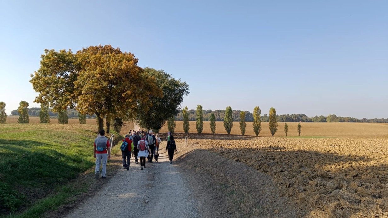 La passeggiata di Radici in Cammino a Bosco Verani 