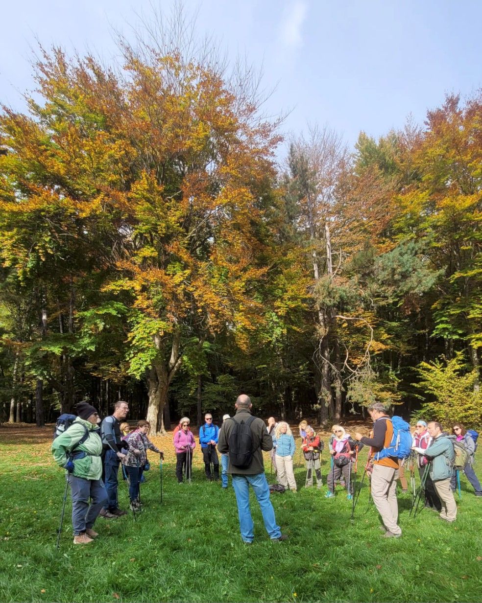 La passeggiata di Radici in Cammino al Monte Moria, Morfasso