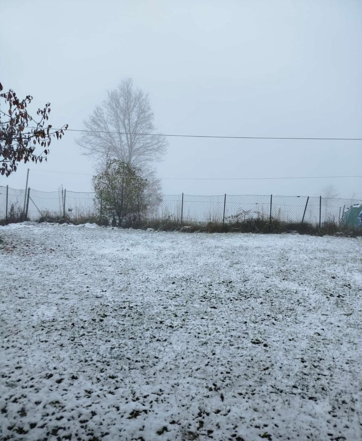 Grondone sotto, in alta Valnure - foto Massimo Lanfranchi