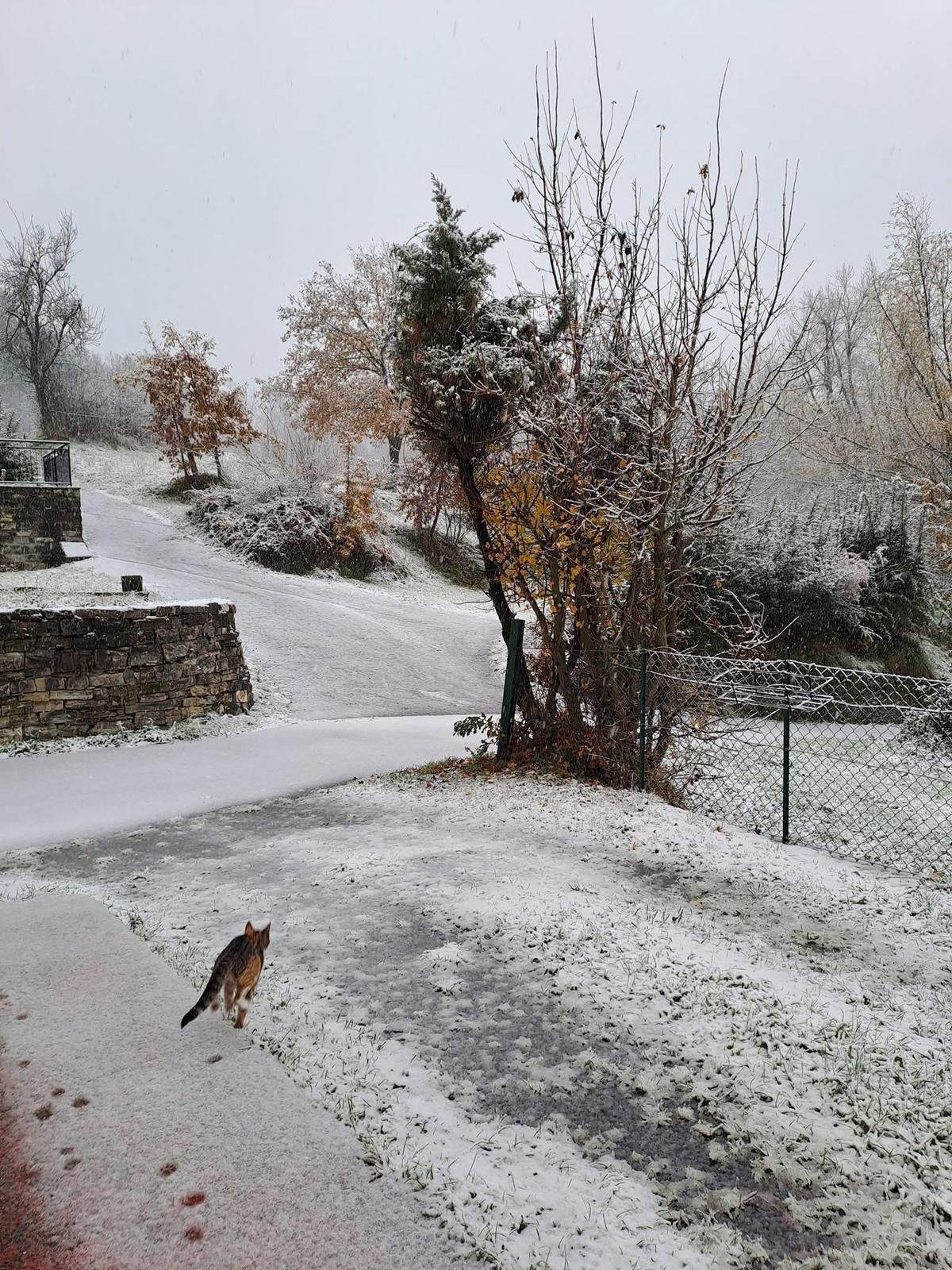 Casali di Morfasso - foto Lucia Casali