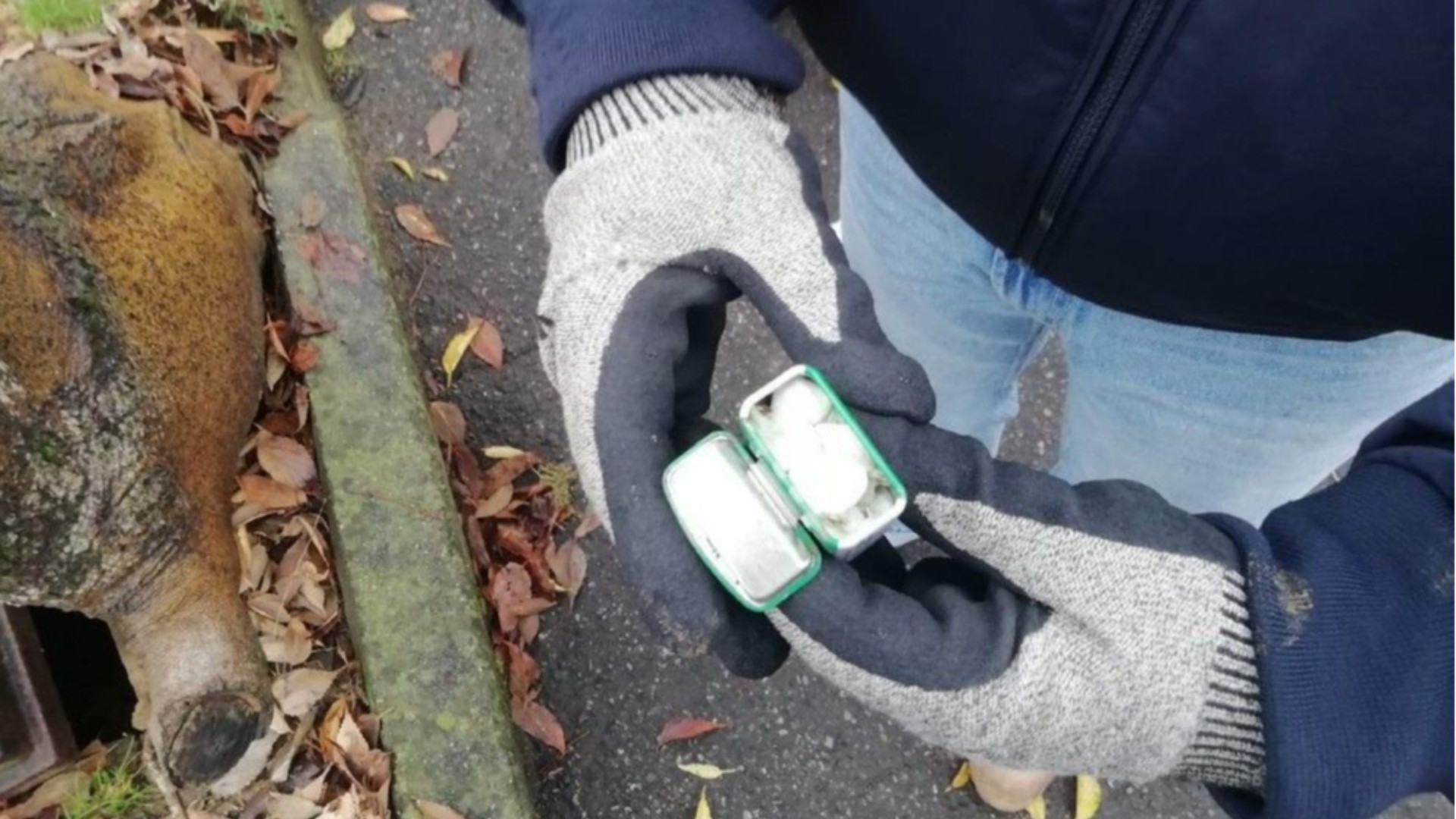 Spacciatore a domicilio: arrestato ed espulso dall'Italia