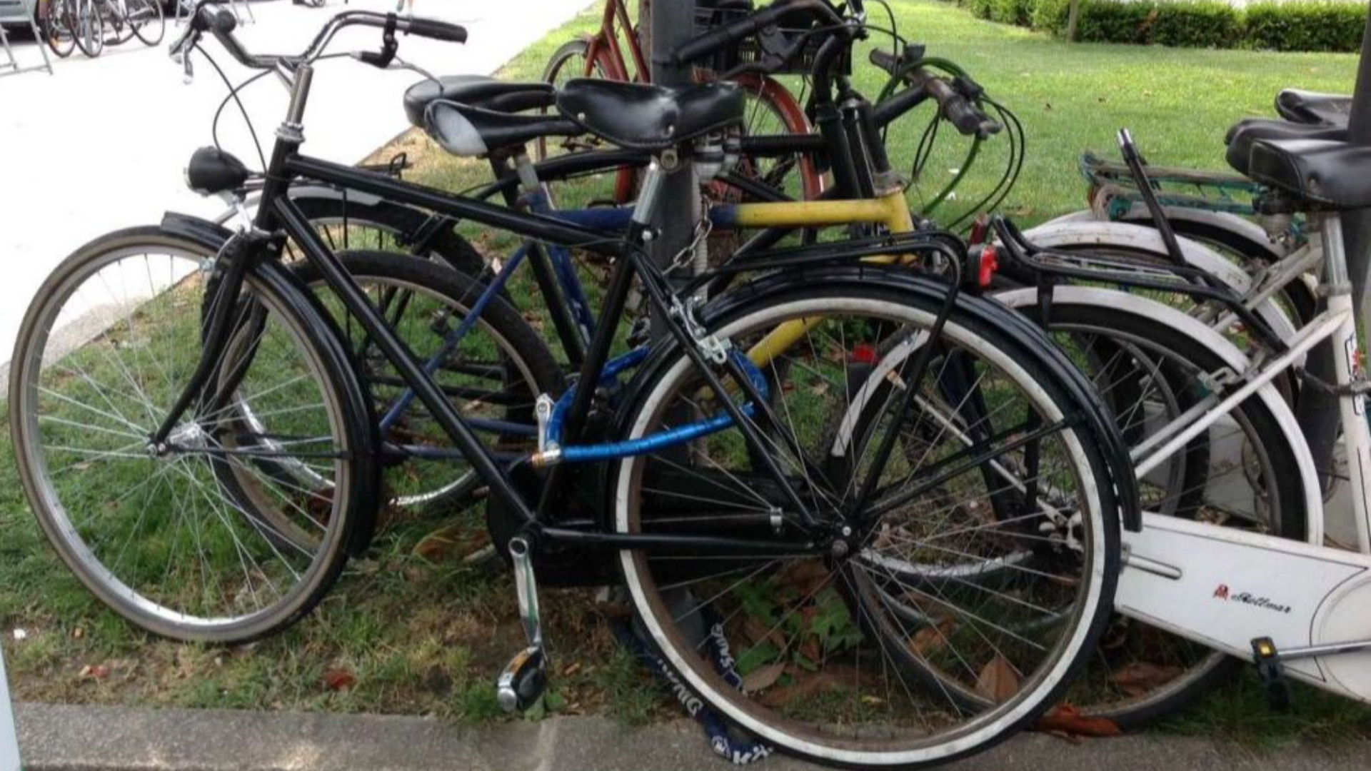 Il sogno di Carlo si avvera, nasce il “Vittorino Bike Bus”