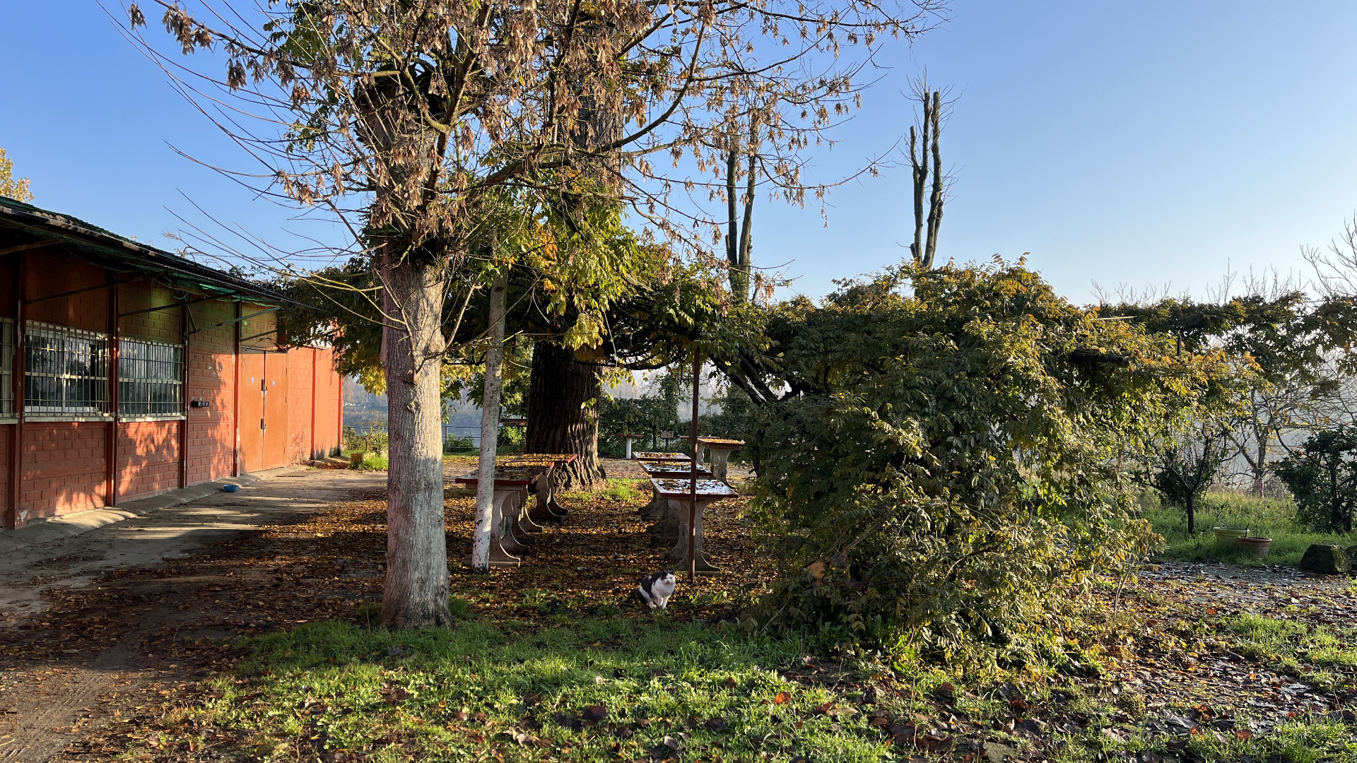 Castelvetro, chiuso il bar Ponticello. Ora la spiaggia sul Po è solo un ricordo