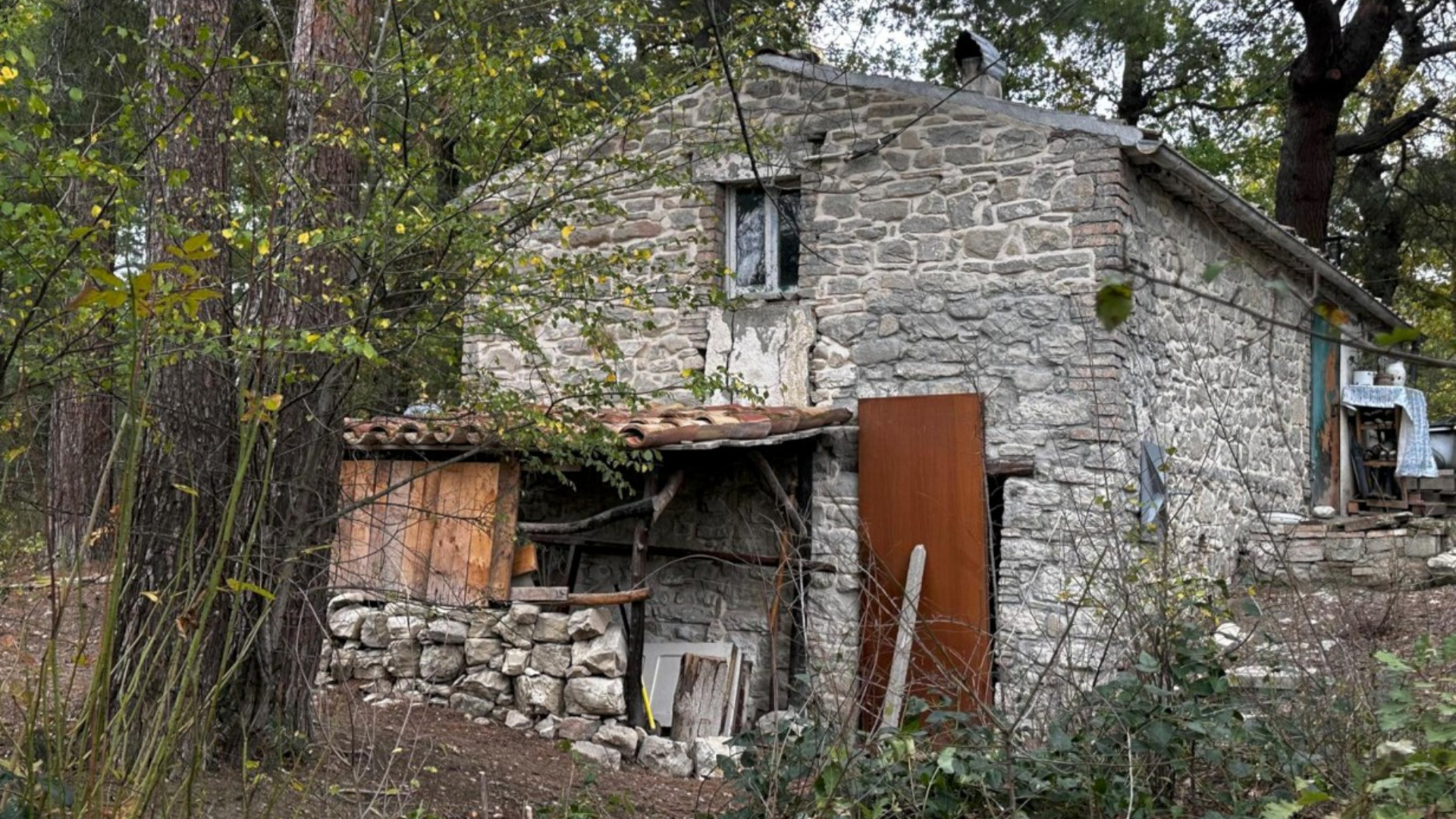 Famiglia nel bosco, Novara: «I figli non sono proprietà dei genitori»