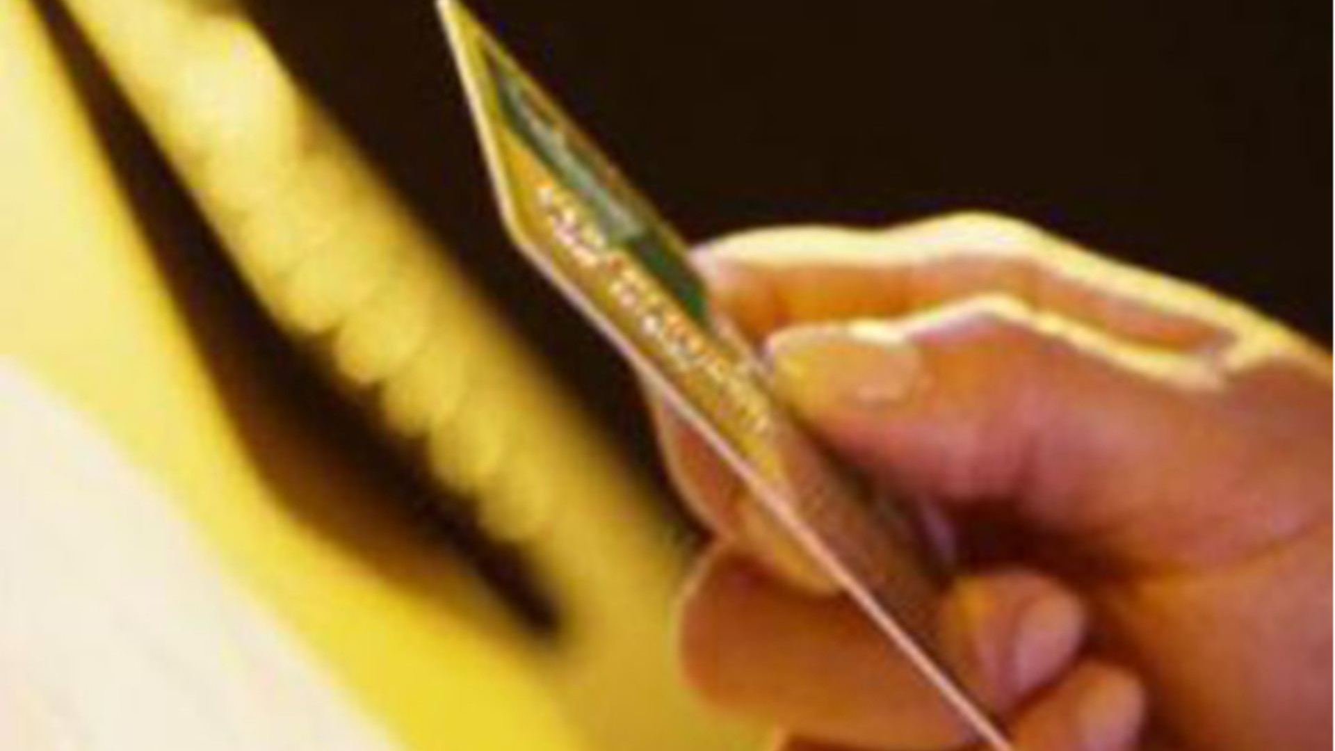 Indagine Confcommercio: «Un piacentino su 4 ha ridotto gli acquisti»