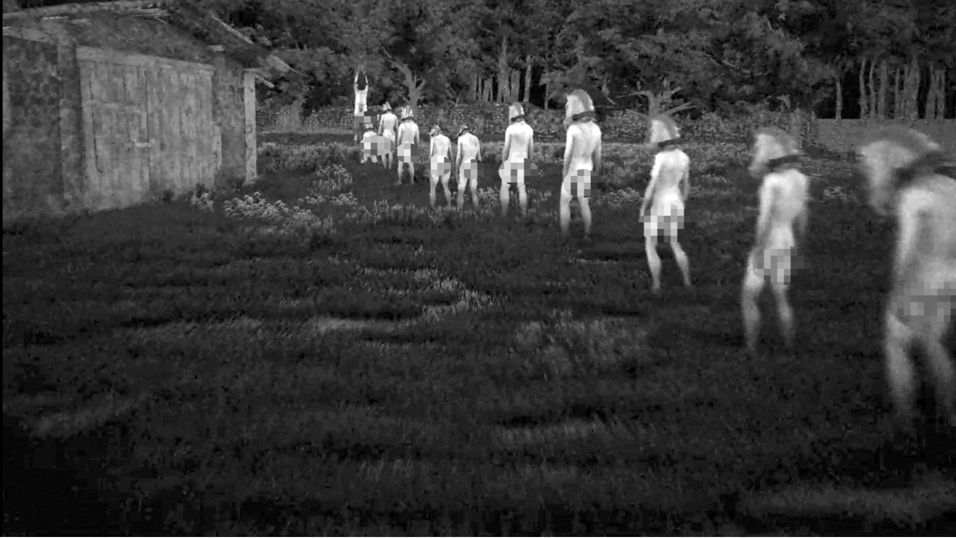 Horses: il videogioco italiano bloccato da Steam