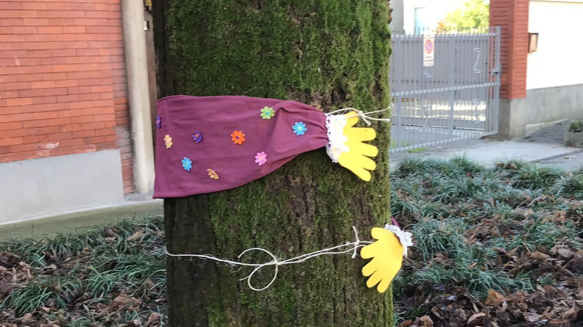«Gli alberi sono gli storici locali», 400 bambini li abbracciano