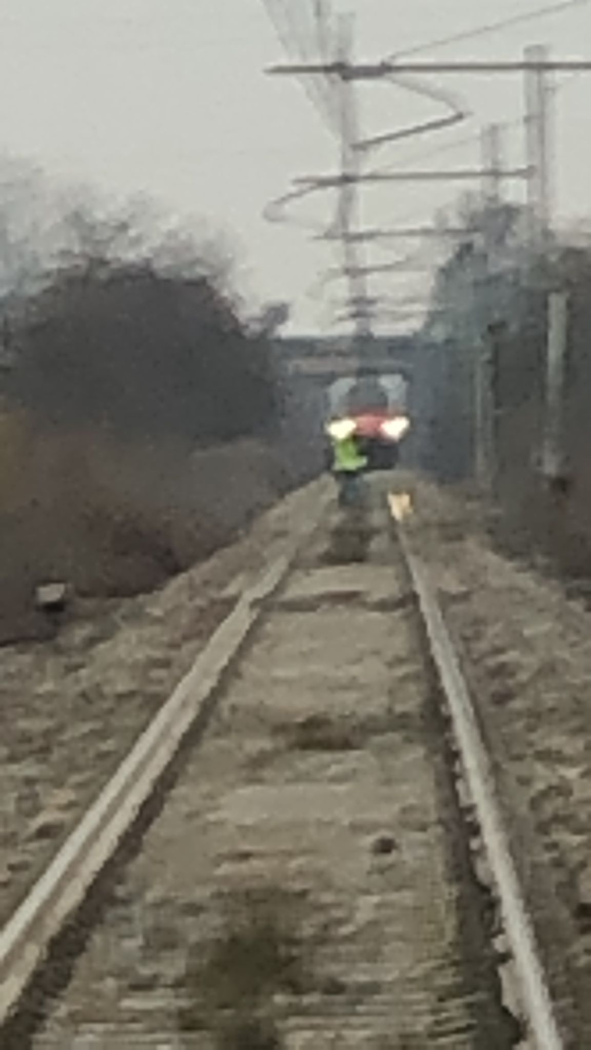 foto Gazzetta di Parma