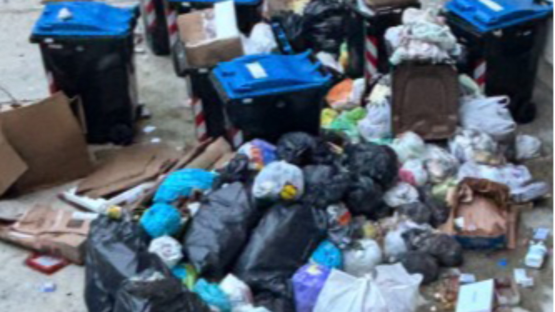 Caos rifiuti a Piacenza tra confusione e inciviltà