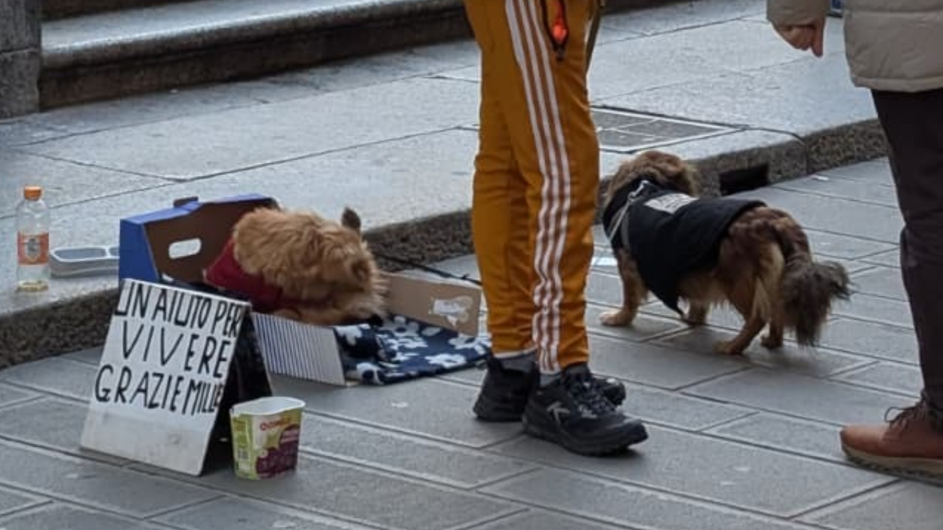 Il freddo inizia a pungere: a Piacenza dormitori pieni