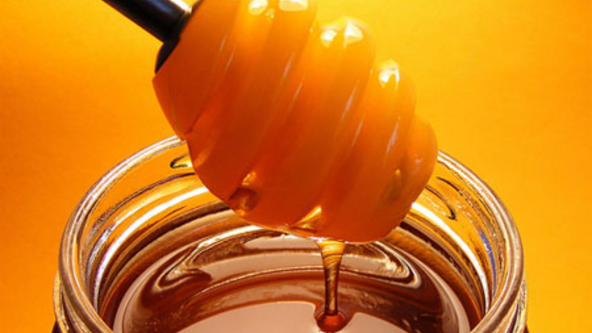 Il colpo dei ladri ghiottoni: spariscono 300 chili di miele