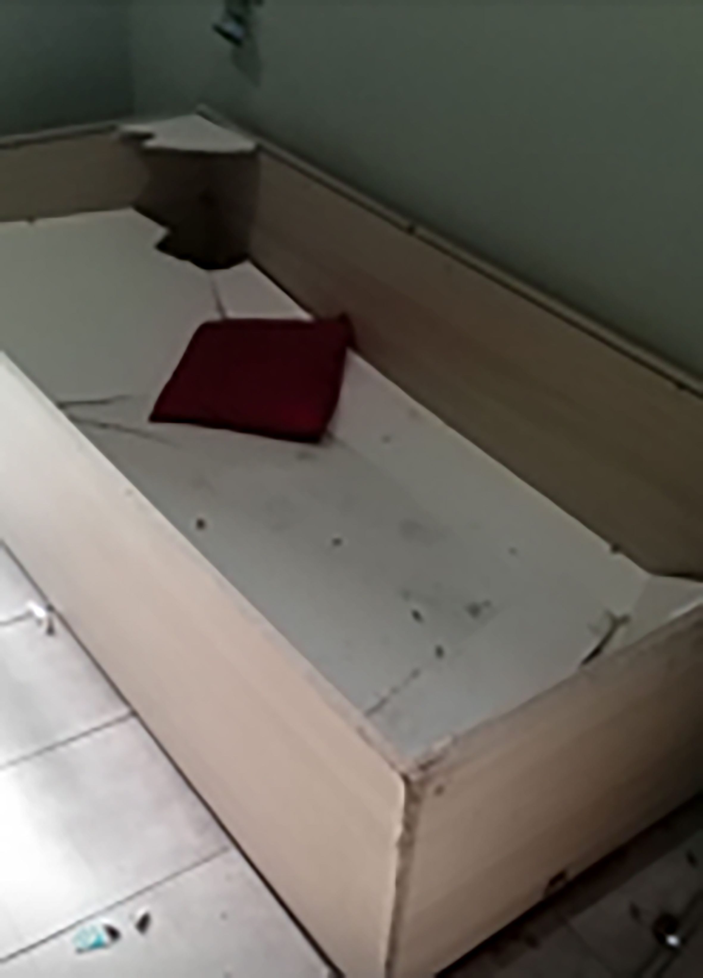 Danni documentati dal gestore dell'albergo