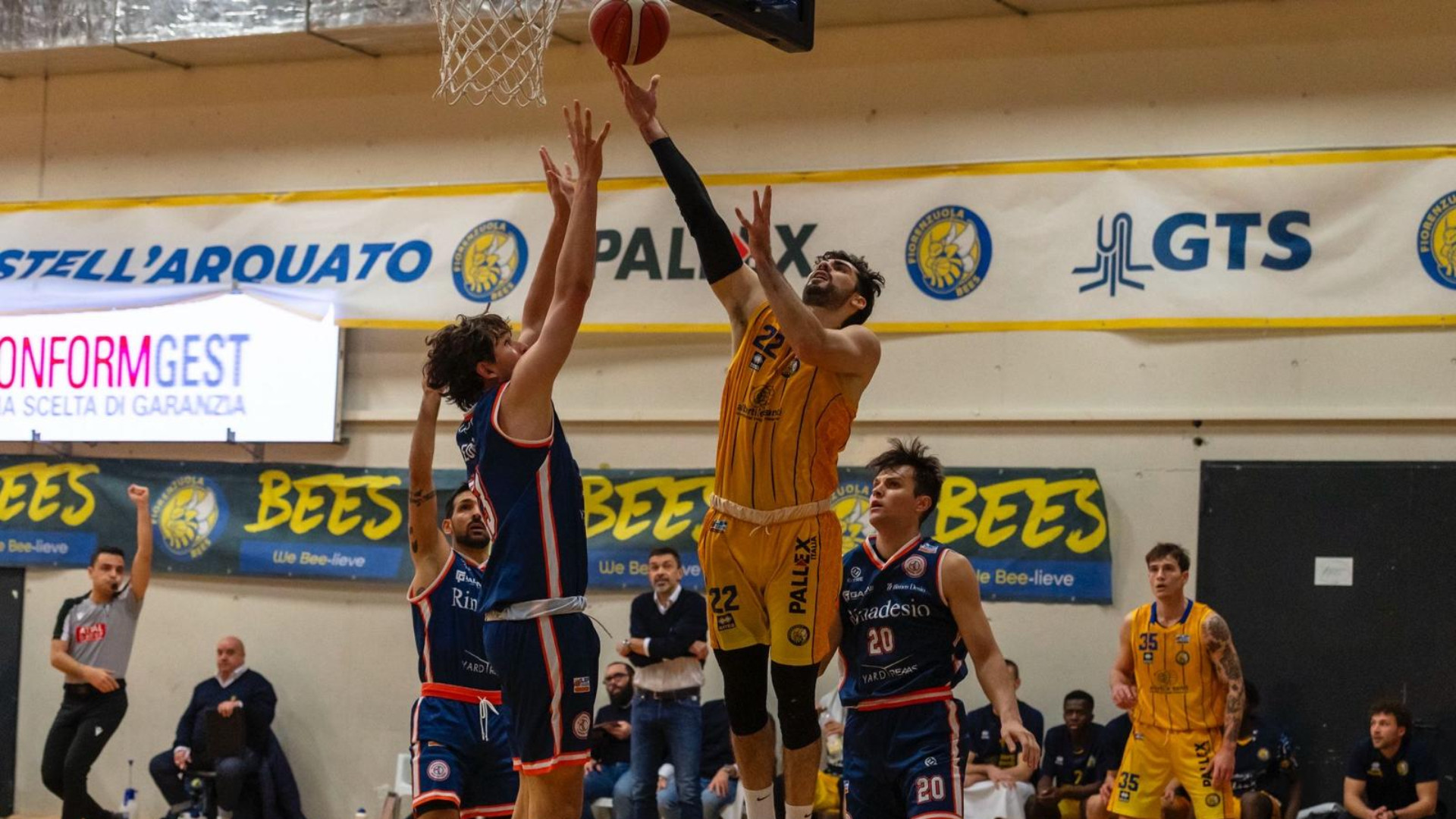 Bakery sugli scudi, i Bees si arrendono a Desio. Assigeco, blackout in attacco