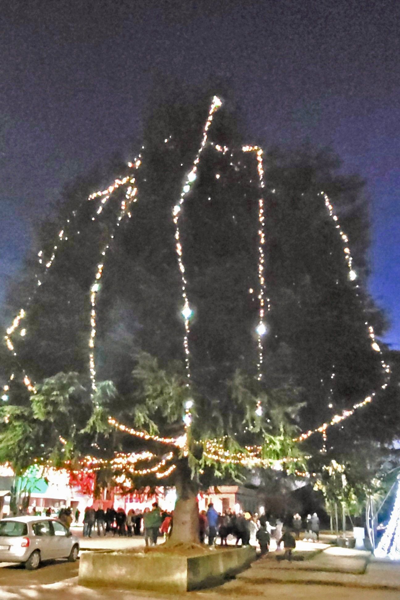 Folla in piazza a Vigolzone per l'albero illuminato