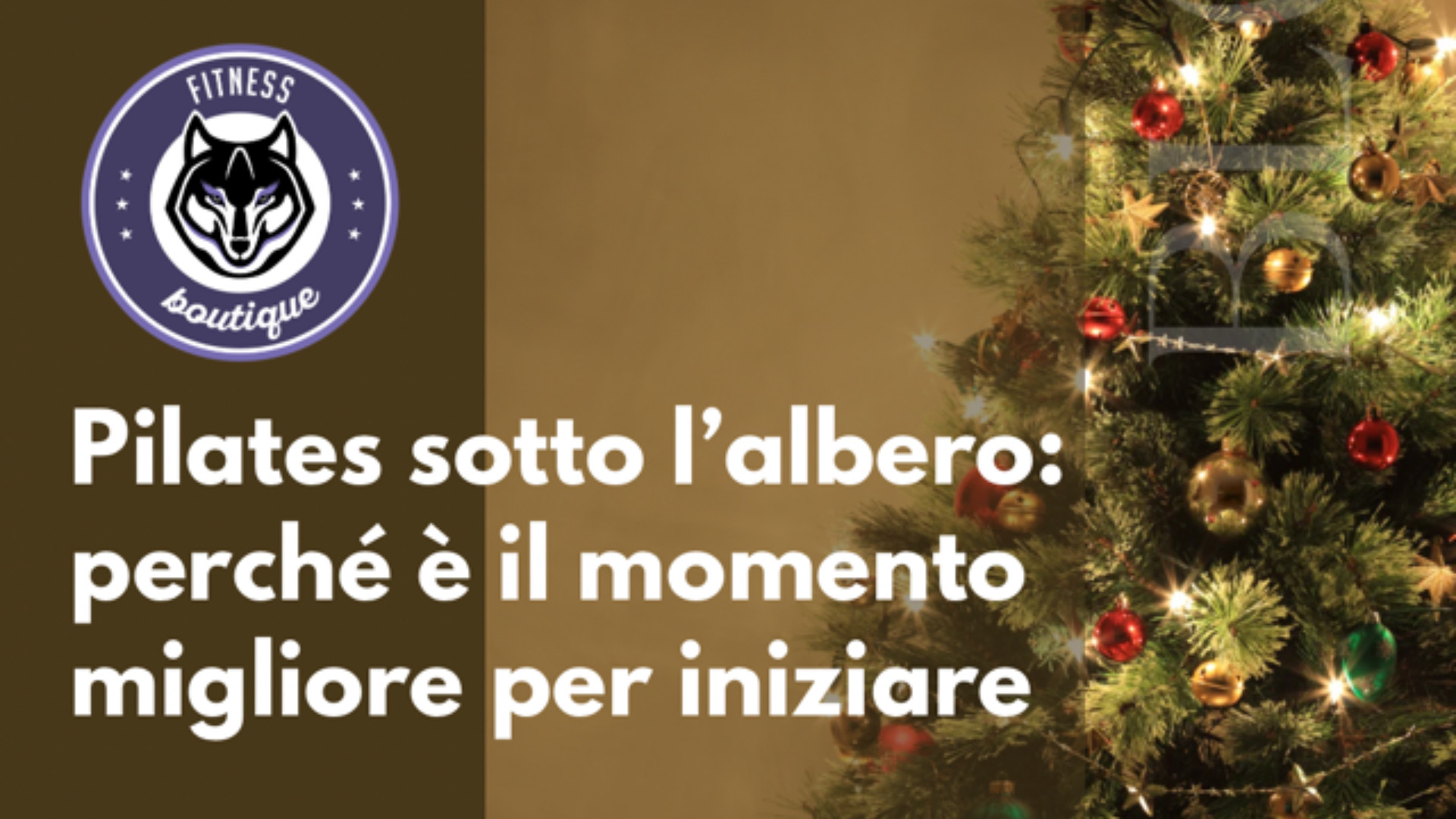 Pilates sotto l'albero
