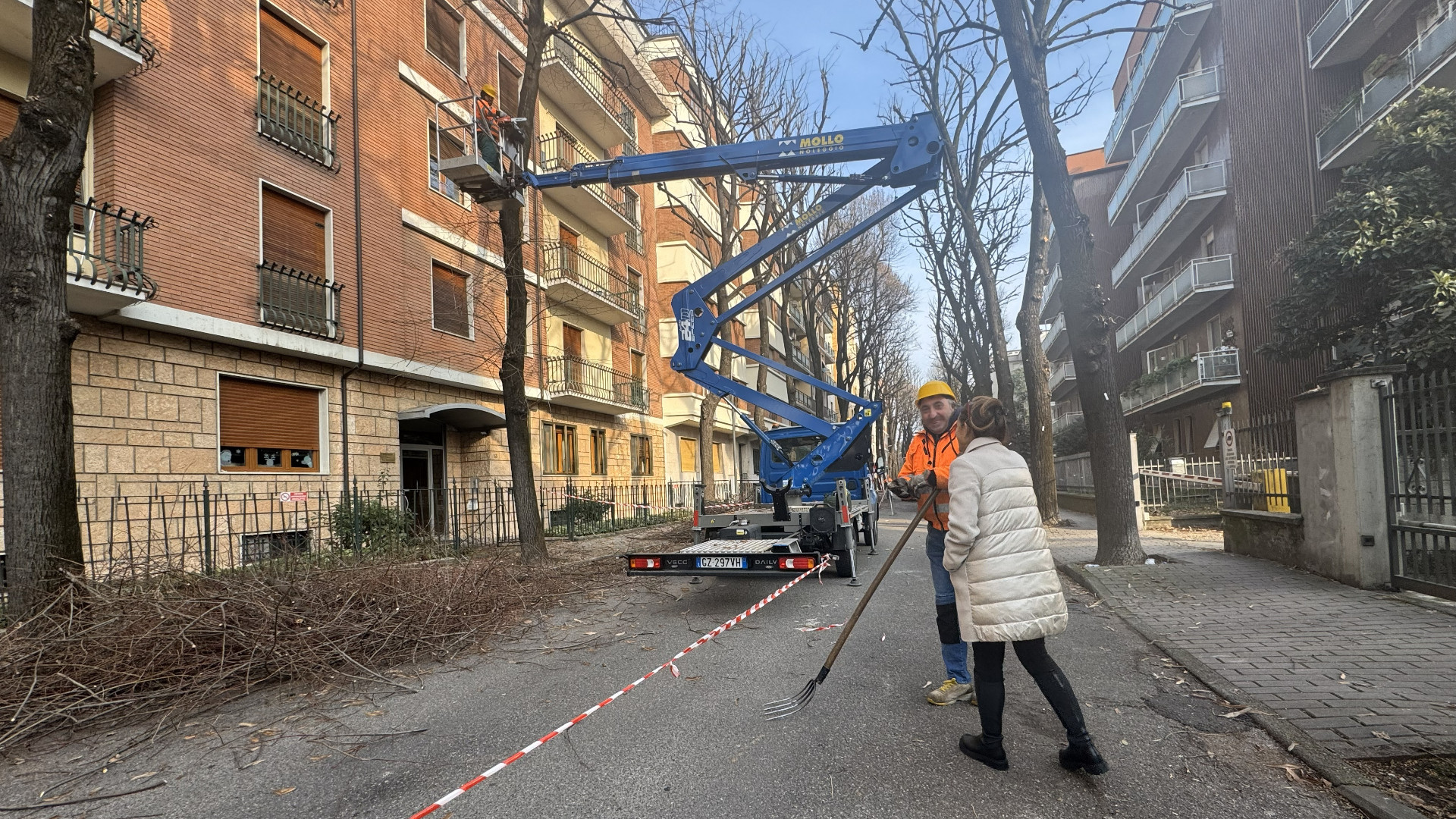 Trentamila alberi in città, più di due milioni per curarli