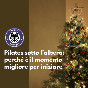 Pilates sotto l'albero