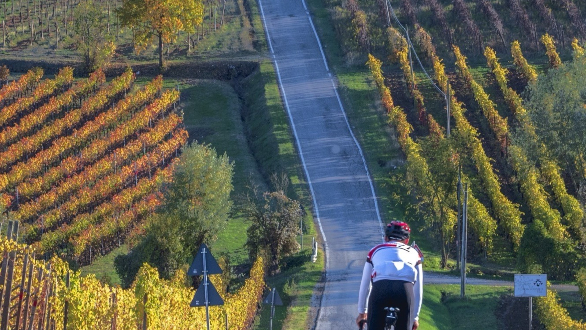 La foto classificatasi al terzi posto