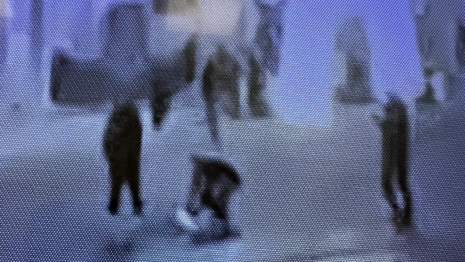 Castel San Giovanni, fuochi pirotecnici in piazza: denunciato